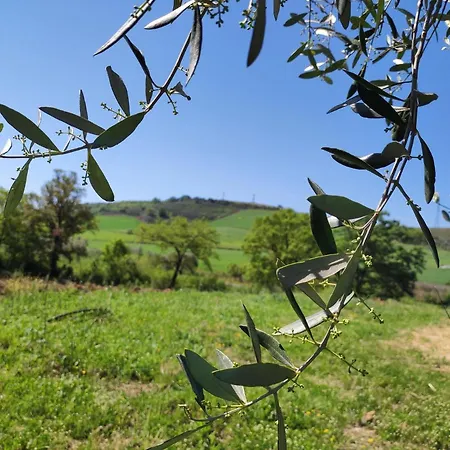 Apartment Il Borgo Della Canapa San Benedetto (Tuscany)