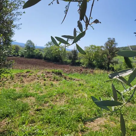 Il Borgo Della Canapa San Benedetto (Tuscany)