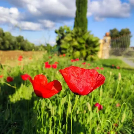Apartment Il Borgo Della Canapa San Benedetto (Tuscany)