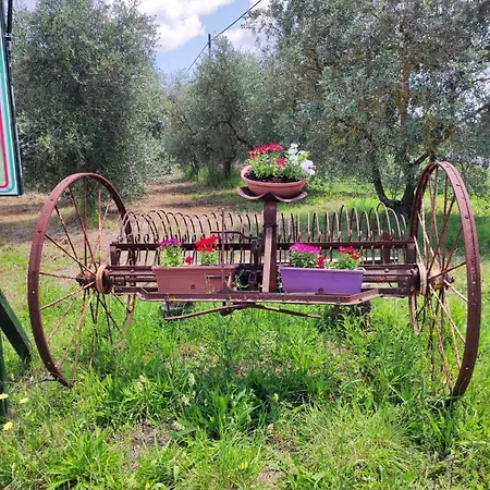 Il Borgo Della Canapa